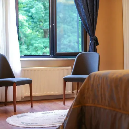 Hotel Thermal Saray & Yalova 4*