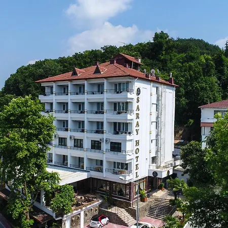 Thermal Saray & Yalova 4* Gokcedere