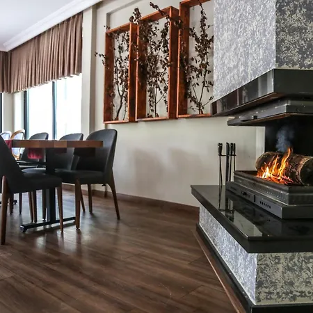 호텔 Thermal Saray & Yalova Gokcedere