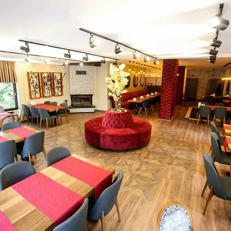 Hotel Thermal Saray & Yalova Gokcedere