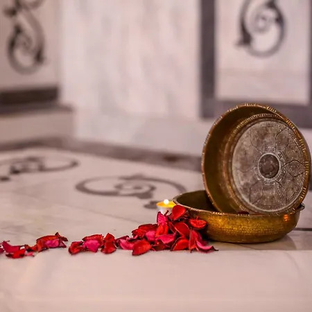 Thermal Saray & Yalova فندق