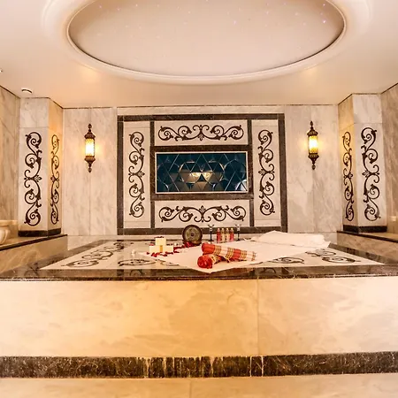 Thermal Saray & Yalova Otel Gökçedere